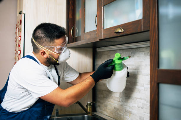 Best Affordable Pest Control Services  in Severna Park, MD