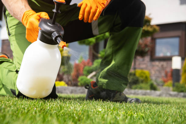 Flea Control Services in Severna Park, MD