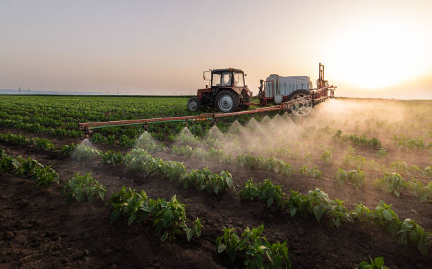 Best Mosquito Control Services  in Severna Park, MD