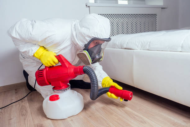 Best Bed Bug Extermination  in Severna Park, MD