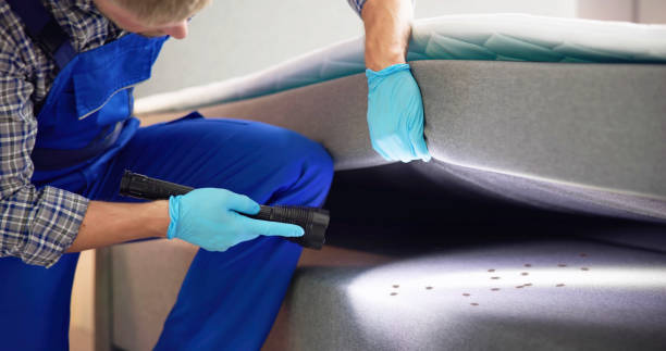 Best Termite Control Services  in Severna Park, MD